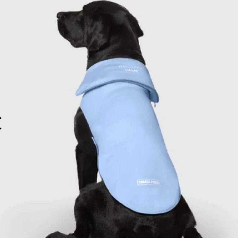Canada Pooch Weighted Calming Vest Dog XL Blue Anxiety Relief Soothing Thunder